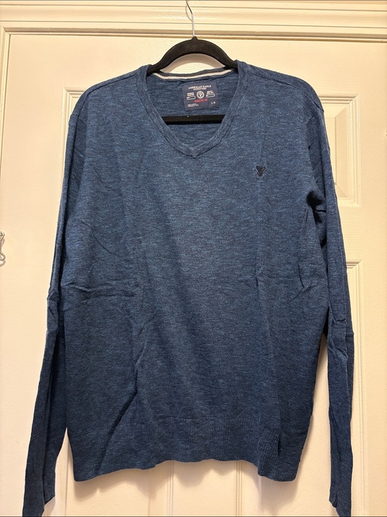 American Eagle Outfitters Other - American Eagle Outfitters Men's Blue V-Neck Sweater